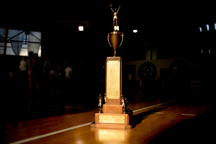 Плэй-оф мужчынскага чэмпіянату